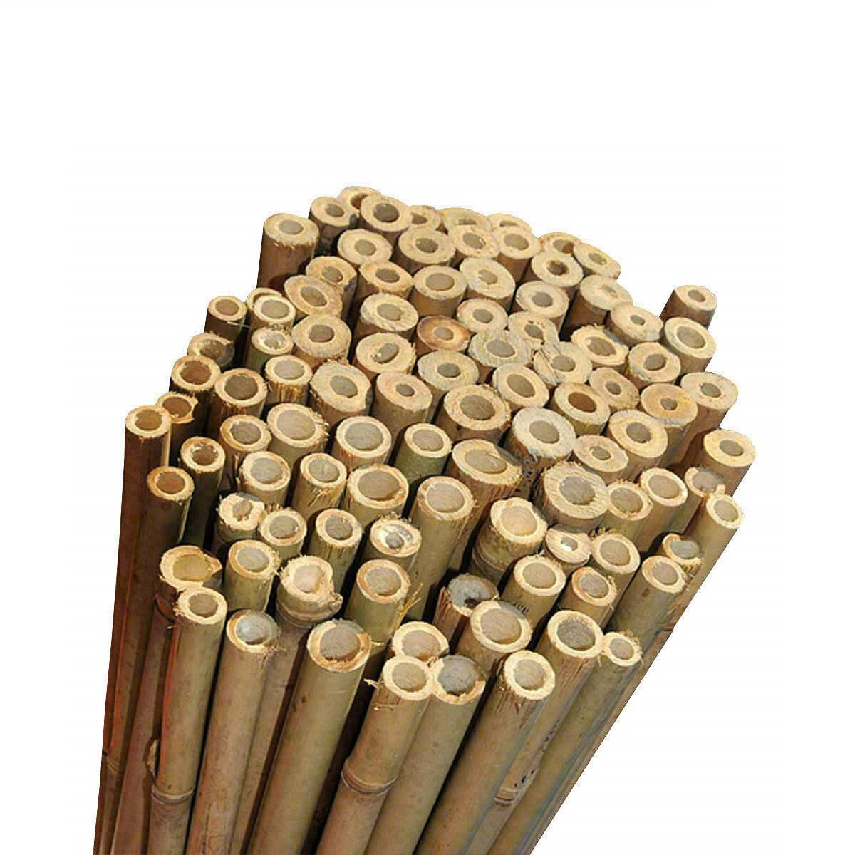 Bambupinnar för växtstöd 105-150 cm Bambupinnar för växtstöd 105-150 cm - naturbambu 10-12 mm