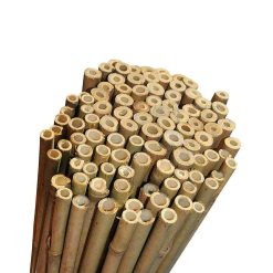 Bambupinne för växtstöd 180 cm - naturbambu 10-12 mm