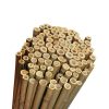 Bambupinne för växtstöd 75 cm - naturbambu 10-12 mm