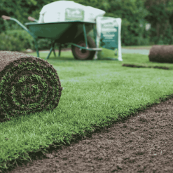 gräsmatta-rullgräs-70m2-inkl-gödsel rullgras-installation-i-tradgard-laggning-av-gras-pa-jord rullgras-pa-pall-grasrullar-redo-for-laggning-tradgard