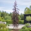Hängblodbok ‘Purple Fountain’ 200–250 cm med smal krona och purpurblad